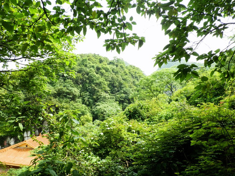 寺院风景