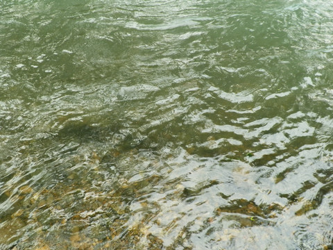 小河 浅滩