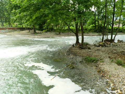 小河 浅滩