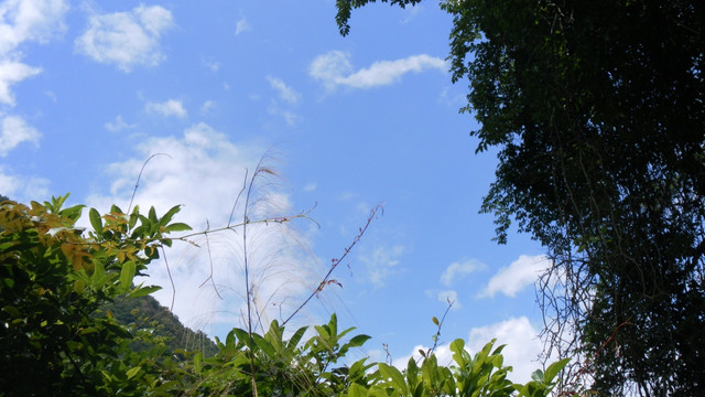 天空