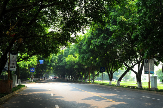 乐山景区道路景观