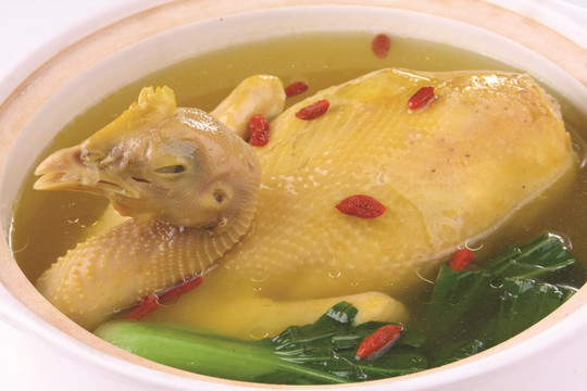土鸡砂锅
