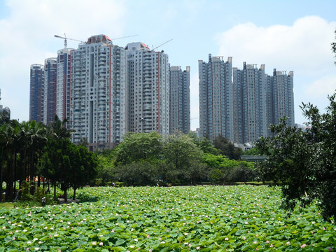 深圳建筑群（非高清）