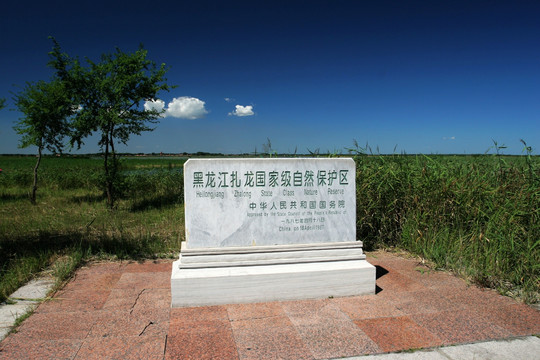 扎龙级自然保护区 石刻