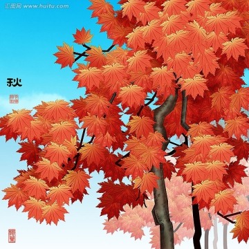 四季系列之秋枫树
