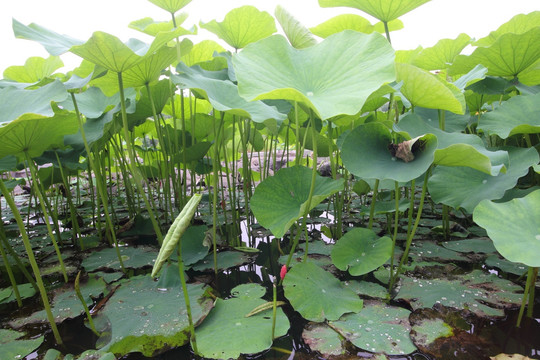 宁波博物馆