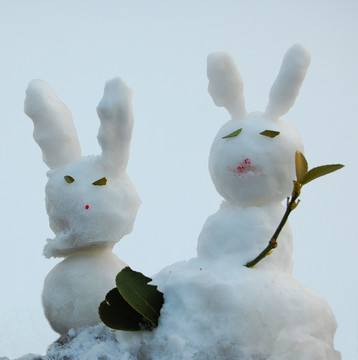 雪趣 雪兔
