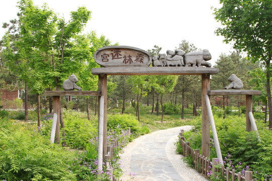 北京通州 森林公园
