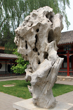 中山公园 奇石