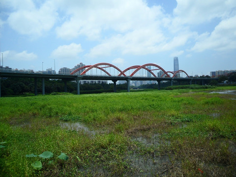 深圳芙蓉桥