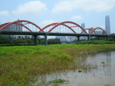 深圳芙蓉桥