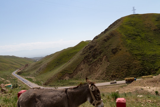 驴行山路