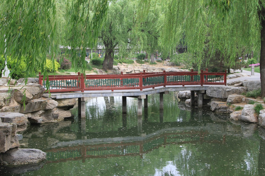 中山公园 小桥
