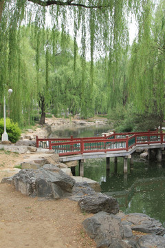 中山公园 小桥