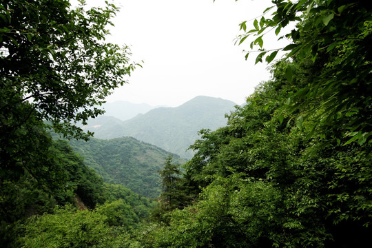 陕西山阳天竺山国家森林公园