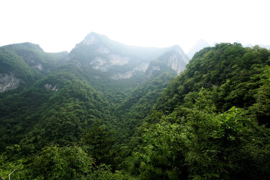 陕西山阳天竺山国家森林公园