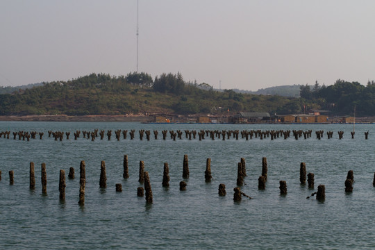 珍珠蚌养殖基地