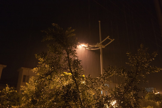 雨中路灯