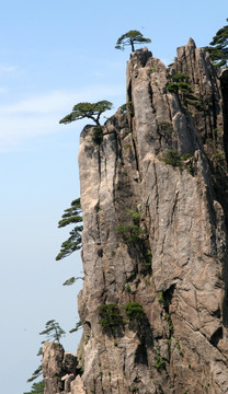 黄山风光