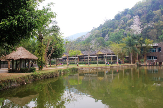 西双版纳建筑风景