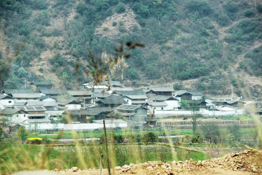 民宅住房风景