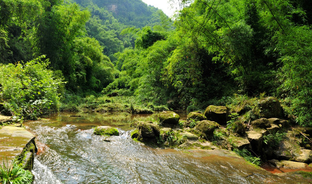 平乐古镇芦沟竹海