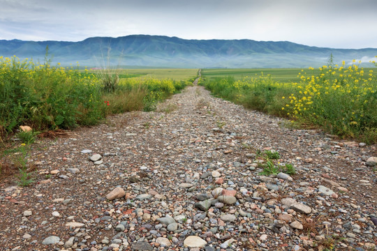 石子路