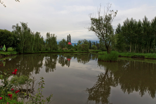 池塘