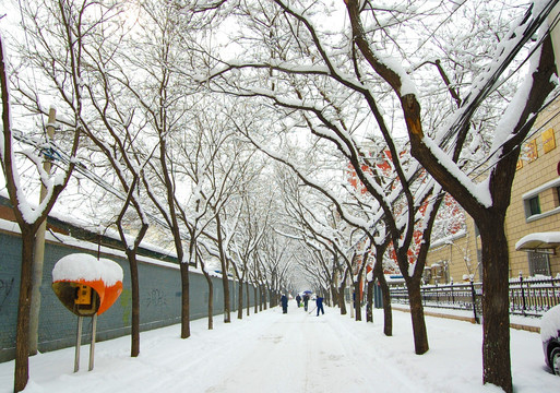 北京街景