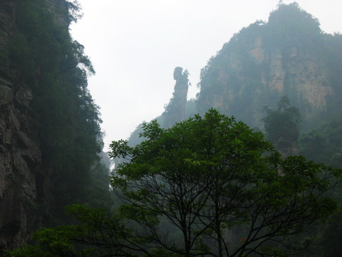 张家界风光  采药老人