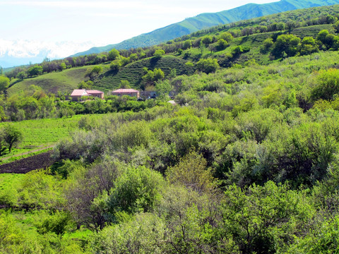 小山村