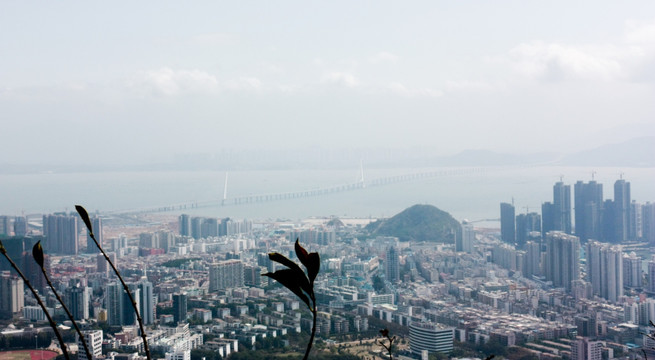 深圳 南山区城市风光