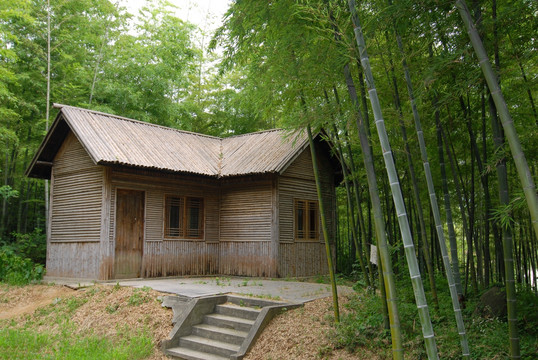 竹林小屋