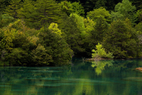 九寨沟风景 碧水