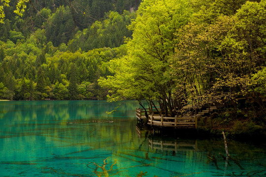 九寨沟 清澈湖水 栈道