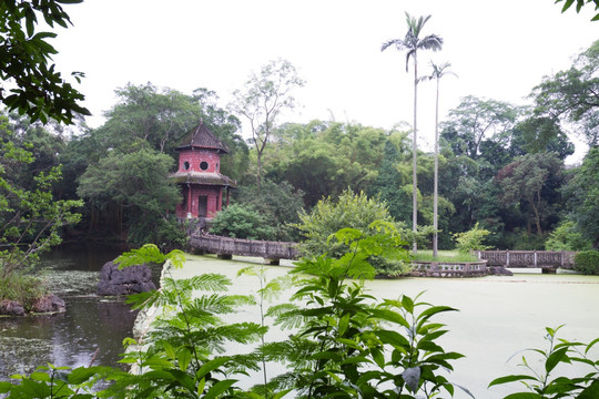 广西龙州 中山公园 湖泊