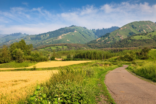 乡间小路