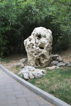 景山公园 太湖石