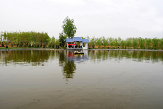 洛阳国家牡丹园 人工湖