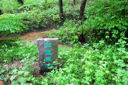 通辽 大青沟风景区