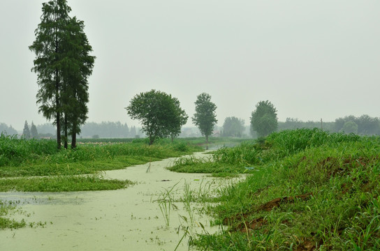 自然风景