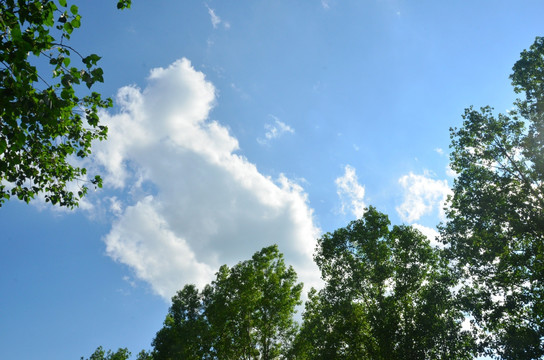 天空