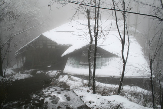 雪中景