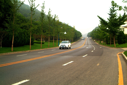 大连棒棰岛沿路