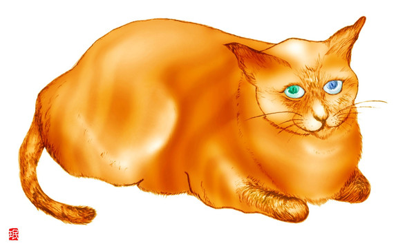 暹罗猫手绘装饰画