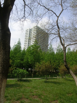 江苏师大校园二十一世纪大楼