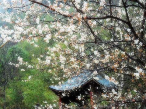 烟雨建筑