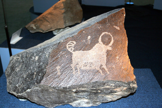 古代岩画 牛