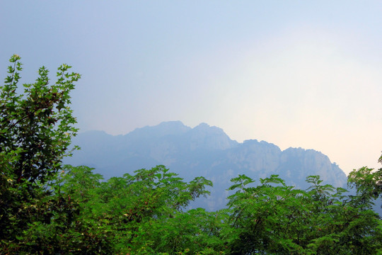 泰山风光