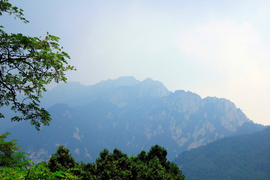 泰山风光